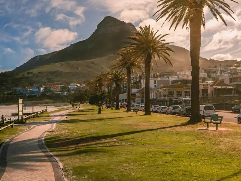 full day cape peninsula tour