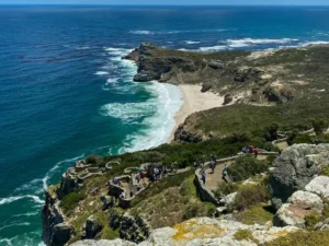cape peninsula tours
