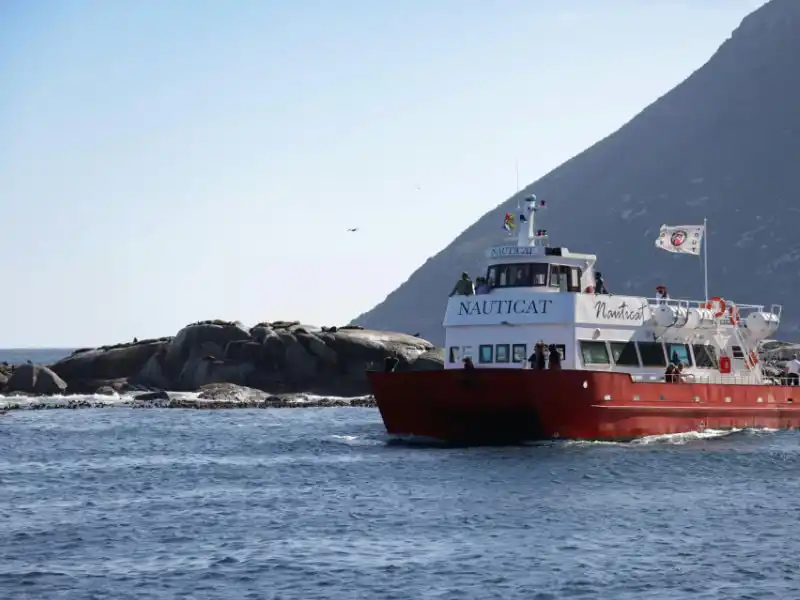full day cape peninsula tour
