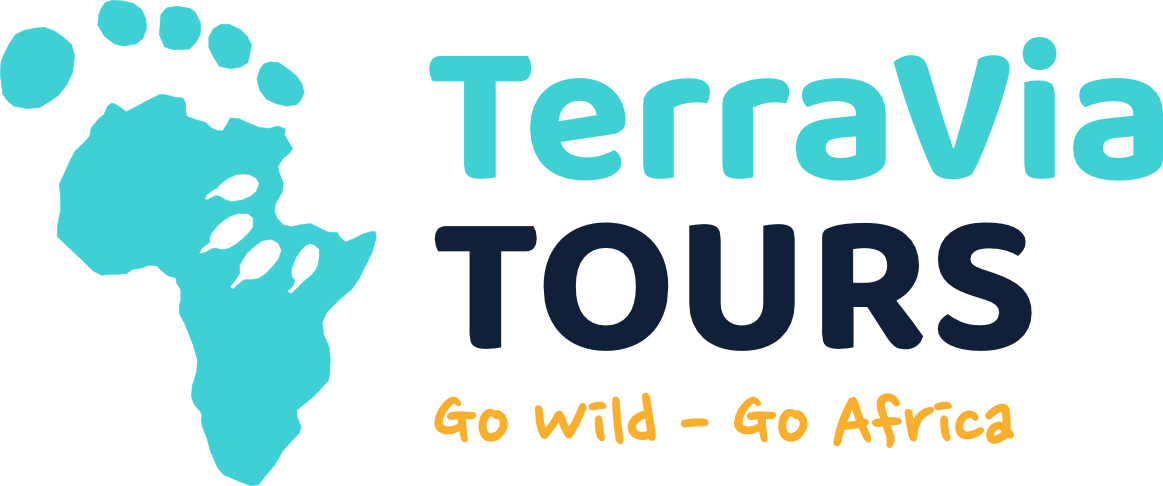 terraviatours_logo